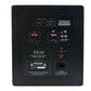 FF-10 Subwoofer