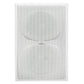 IW-SUB10 In-Wall Subwoofer